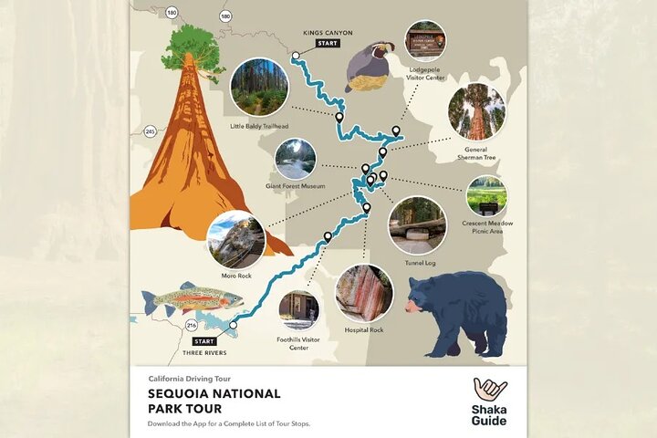 Sequoia en Kings Canyon audiotour Zelfgids Nationaal Park Tour