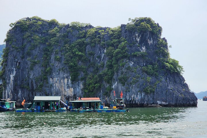 Ha Long Bay Day Cruise from Hanoi with Kayaking and Lunch