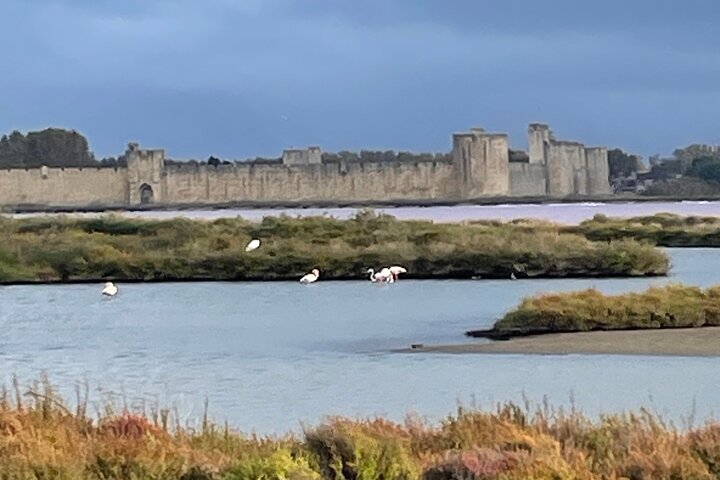Kleine groep halve dag Camargue en Aigues Mortes tour