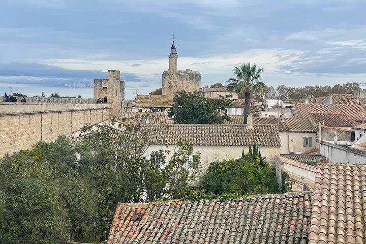 Kleine groep halve dag Camargue en Aigues Mortes tour