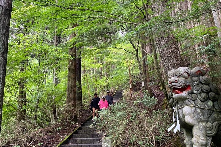 Tour privado de senderismo para ver el monte Fuji