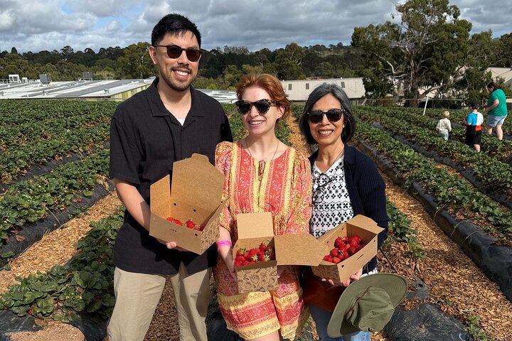 Oplev Hahndorf & Barossa: Gourmet frokost, vin, øl og delikatesser