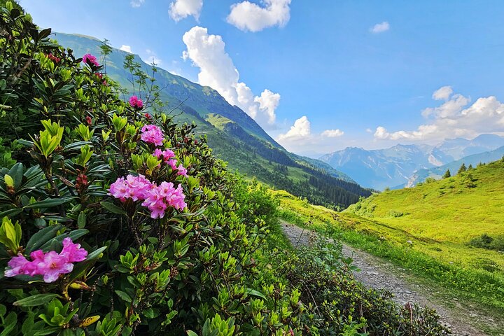 Wanderung Lauterbrunnen-Murren inkl. Trummelbach Wasserfälle Besuch