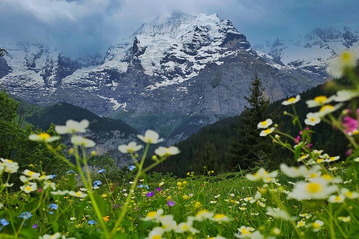 Wanderung Lauterbrunnen-Murren inkl. Trummelbach Wasserfälle Besuch