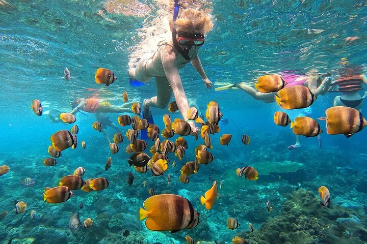 Journée complète Nusa Penida Island avec plongée au départ de Bali