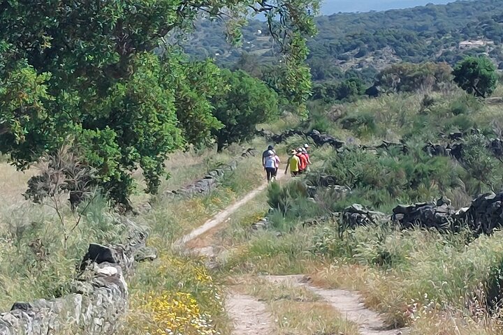 Tour privado megalítico de Marvão
