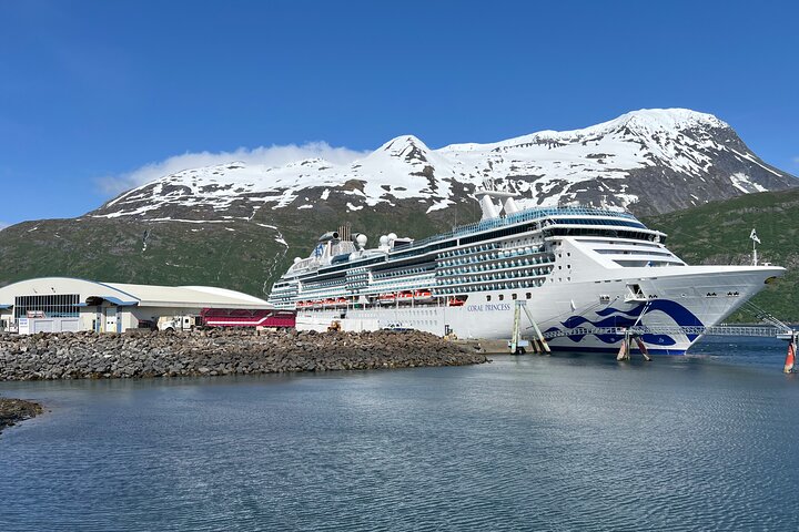 Whittier a Anchorage Trasporto privato in crociera, fino a 10 persone