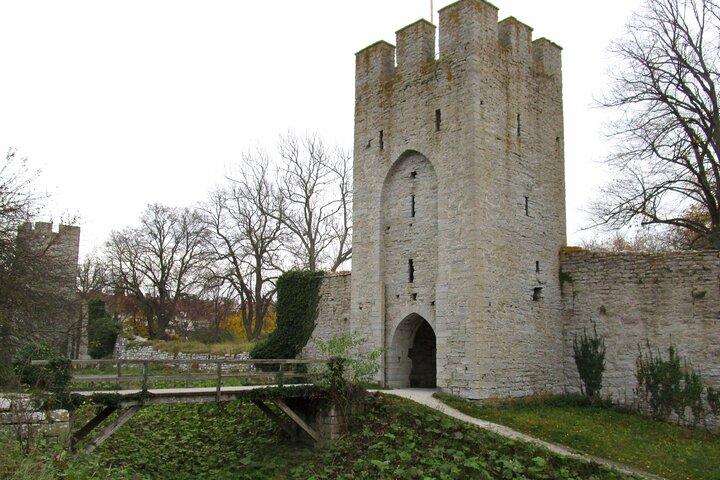 Tour privato di mezza giornata di Visby dal porto crocieristico di Visby