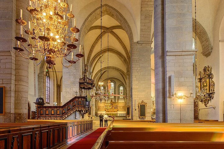 Tour privato di mezza giornata di Visby dal porto crocieristico di Visby