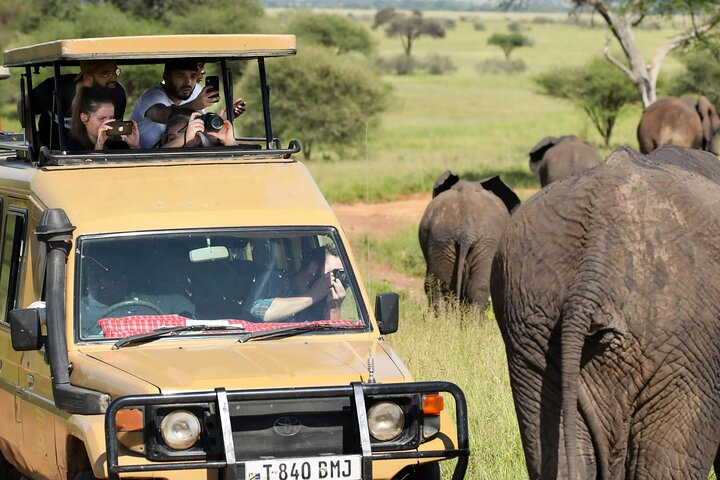 Tagesausflug zum Ngorongoro-Krater von Karatu