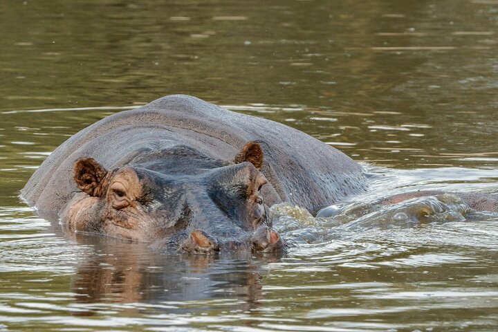 Tagesausflug zum Ngorongoro-Krater von Karatu