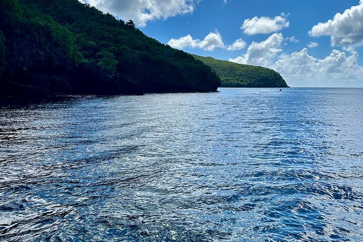 Martinique : Observation des dauphins et snorkeling