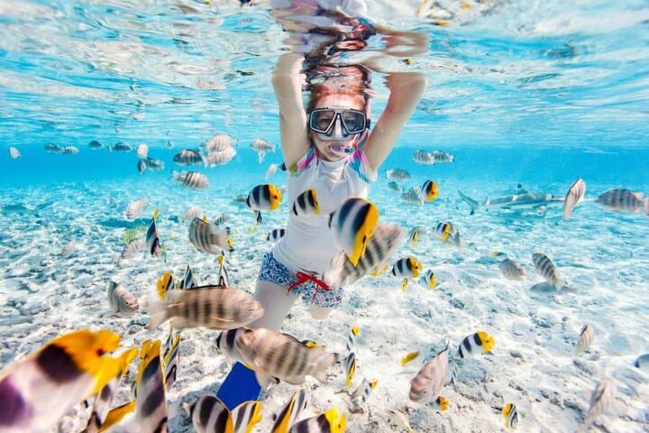 3 islands Tour with snorkelling ,Pigs, Turtles & beach club lunch