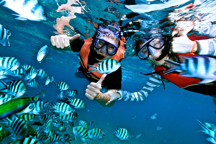 3 islands Tour with snorkelling ,Pigs, Turtles & beach club lunch