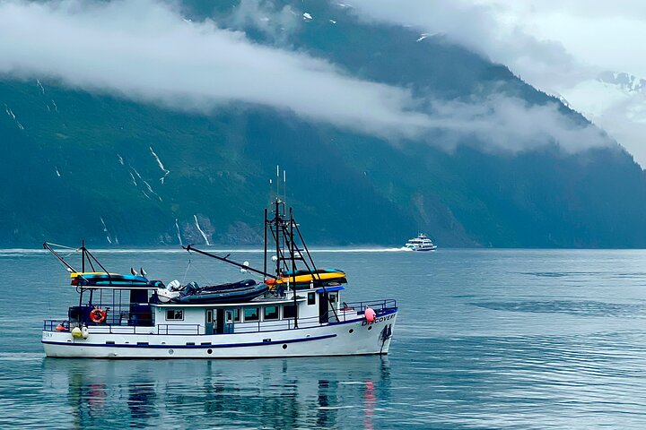 Whittier a Anchorage Trasporto privato in crociera, fino a 10 persone