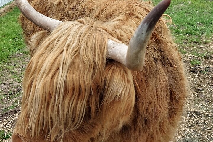 Hoteller i nærheden af Loch Ness, Culloden, Cawdor