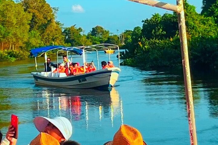 Cruzeiro pelo rio Borneo (Klias) e passeio pelos vaga-lumes