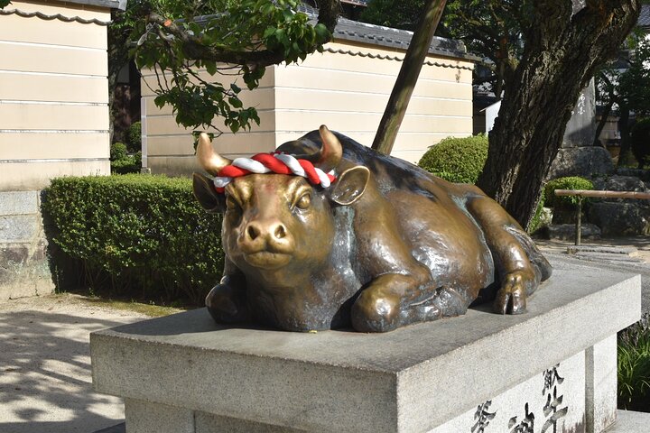 Yanagawa & Dazaifu Culturele ontdekkingsreiziger