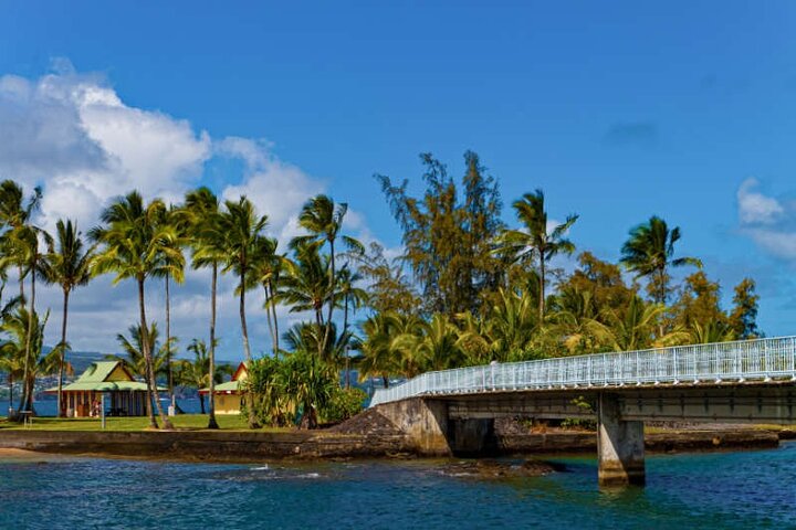 Big Island Scenic Tour : Vulkaan Hilo Town Waterval Strand & Lunch