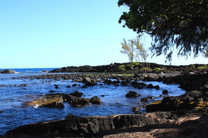 Big Island Scenic Tour : Vulkaan Hilo Town Waterval Strand & Lunch