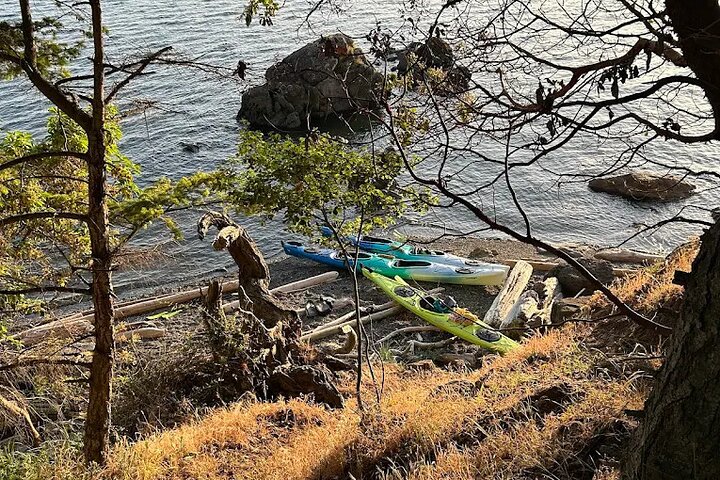 Tour in kayak costiero di Rosario sull'isola delle Orche