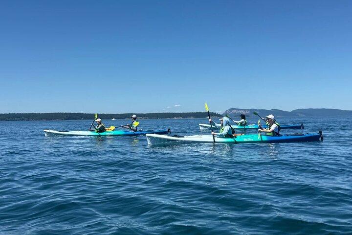 Tour in kayak costiero di Rosario sull'isola delle Orche