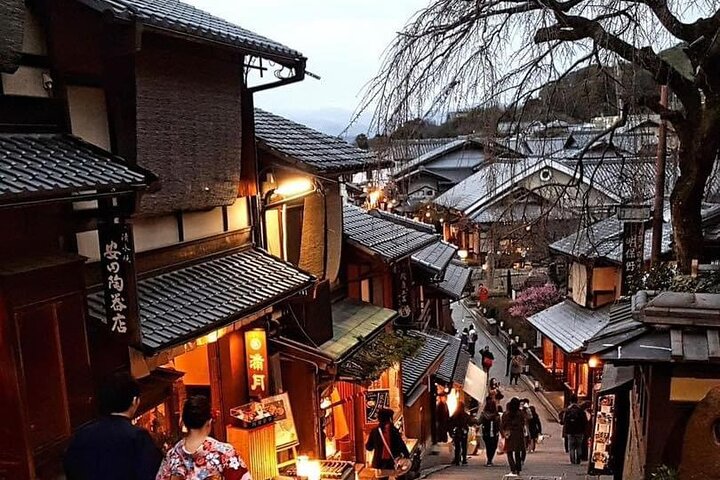 ガイド&バン付き京都・奈良プライベートカスタマイズ可能日帰りツアー