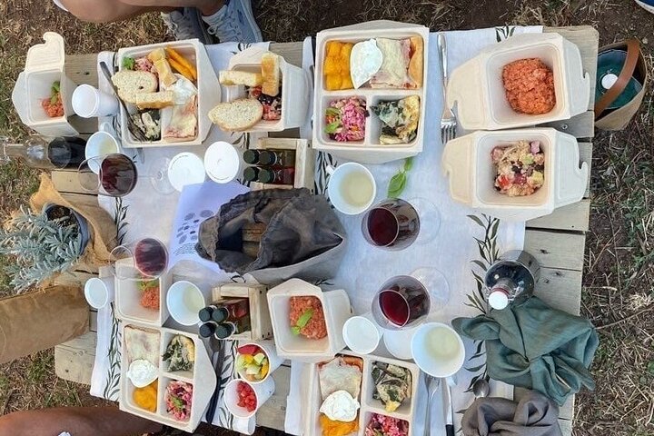Picknick tussen de olijfbomen en proeverij van olijfolie en lokale smaken