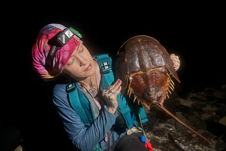 Tour in kayak bioluminescente nella laguna del fiume Indiano della Florida