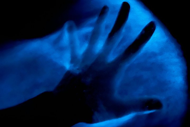 Tour in kayak bioluminescente nella laguna del fiume Indiano della Florida