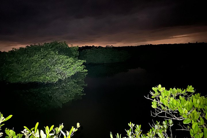 Tour in kayak bioluminescente nella laguna del fiume Indiano della Florida