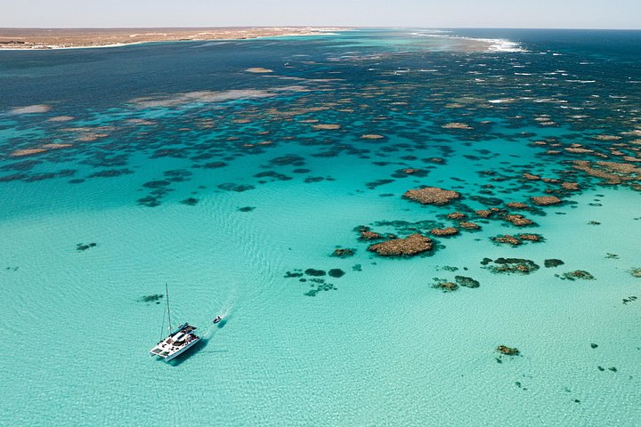 3 Nächte Ningaloo Reef Schnorchel- und Tauchausflug von Coral Bay