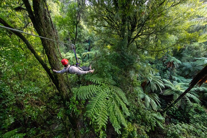 Hoteller i nærheden af Rotorua Canopy Tours: 2.5Hour Native Forest Zipline Adventure