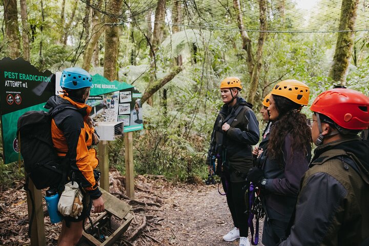 Hoteller i nærheden af Rotorua Canopy Tours: 2.5Hour Native Forest Zipline Adventure