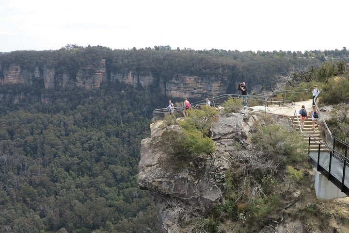 Eksklusiv Blue Mountains Wildlife og Bushwalk tur fra Sydney