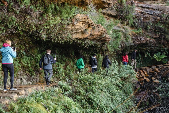 Eksklusiv Blue Mountains Wildlife og Bushwalk tur fra Sydney