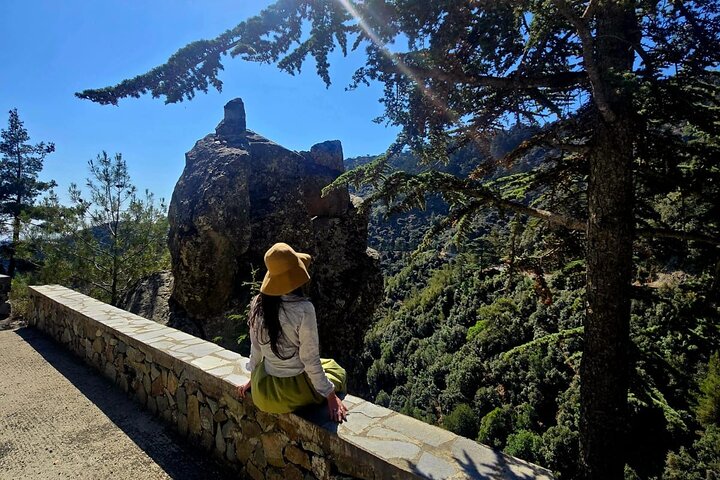 Excursão de autocarro pelas montanhas Troodos, Kykkos e Omodos a partir de Pafos