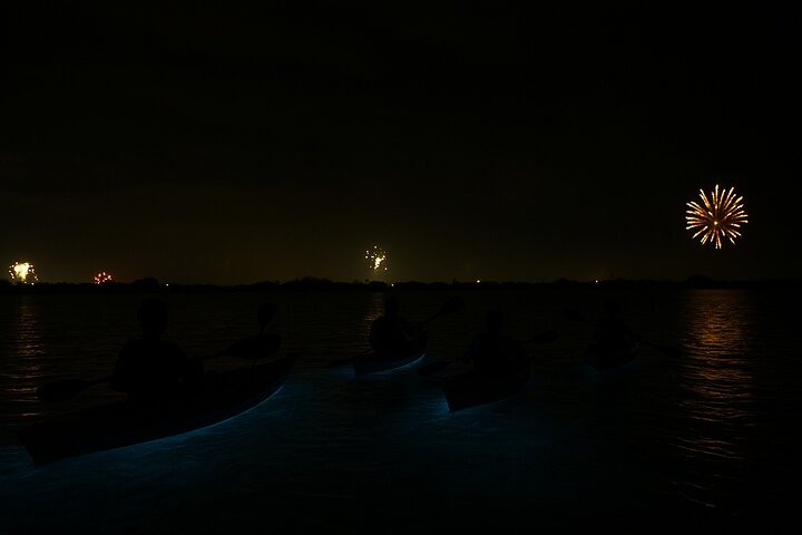Kajakkturer og utleie. Delfiner, sjøkuer og bioluminescens!