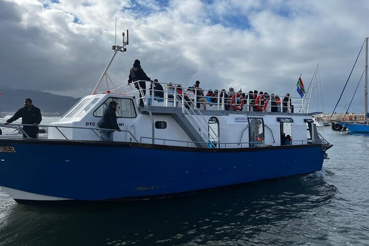 Excursion privée d'une journée d'observation des baleines Hermanus au bord du rivage au départ du Cap