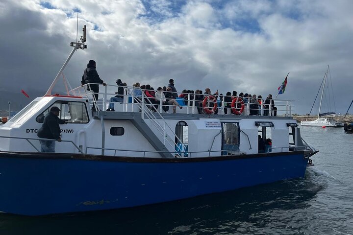 Excursion privée d'une journée d'observation des baleines Hermanus au bord du rivage au départ du Cap