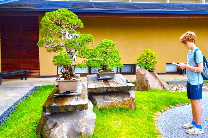 Visite d'art Bonsaï et expérience dans la ville la plus sacrée du Japon