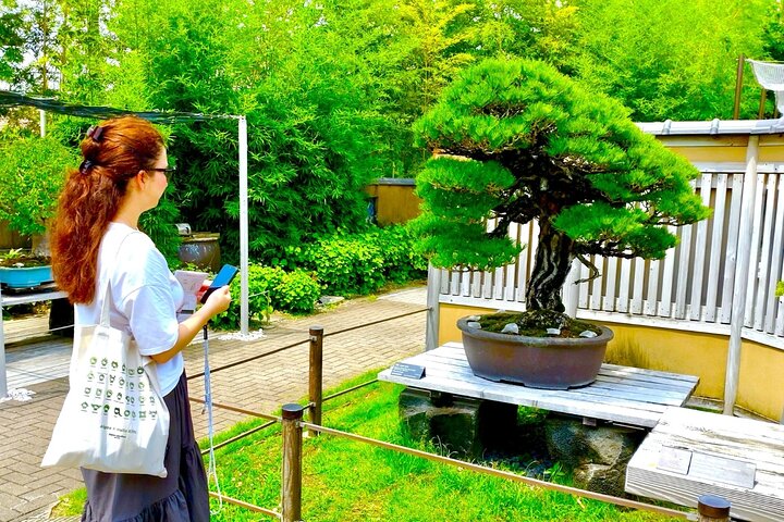 Visite d'art Bonsaï et expérience dans la ville la plus sacrée du Japon
