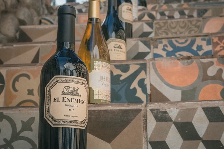 Visita y degustacion en el Enemigo + 2 Bodegas con almuerzo
