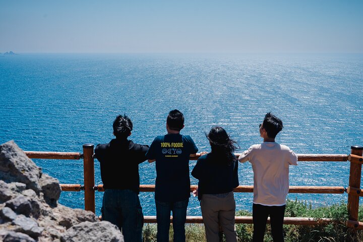 Tour Privado de 1 Día desde Chitosé/Sapporo a Donde quiera que vaya!