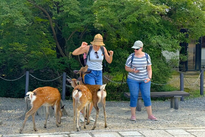 Nara: Excursão privada de meio dia por 4 pontos imperdíveis & Deer Park