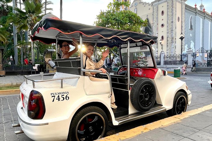 Mazatlan Private City Tour met Pulmonia en ophaalservice bij de cruisehaven