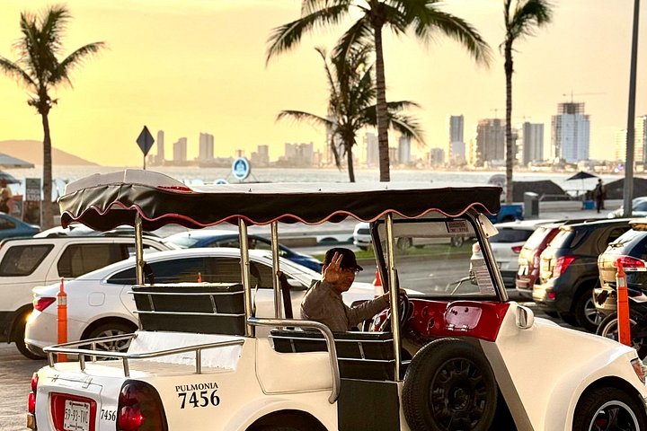 Mazatlan Private City Tour met Pulmonia en ophaalservice bij de cruisehaven