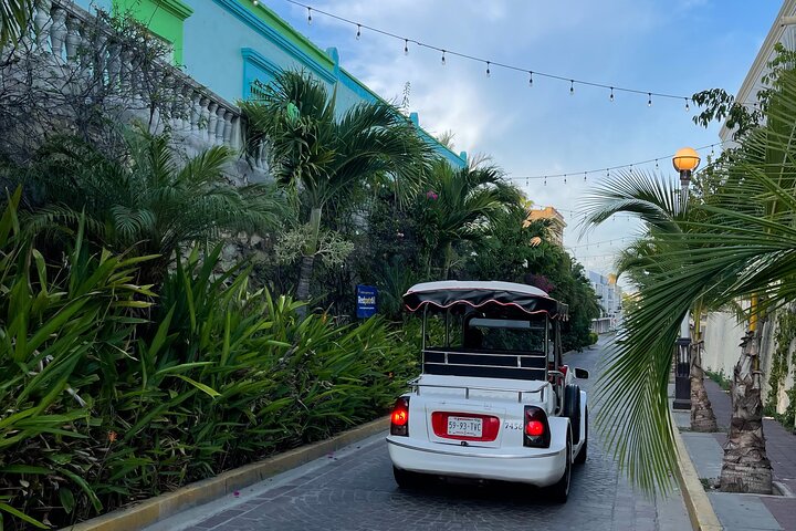 Mazatlan Private City Tour met Pulmonia en ophaalservice bij de cruisehaven