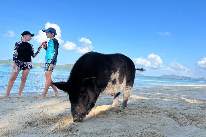 Pig Island & Koh Tan Tour per speedboot (snorkelen en kajakken)