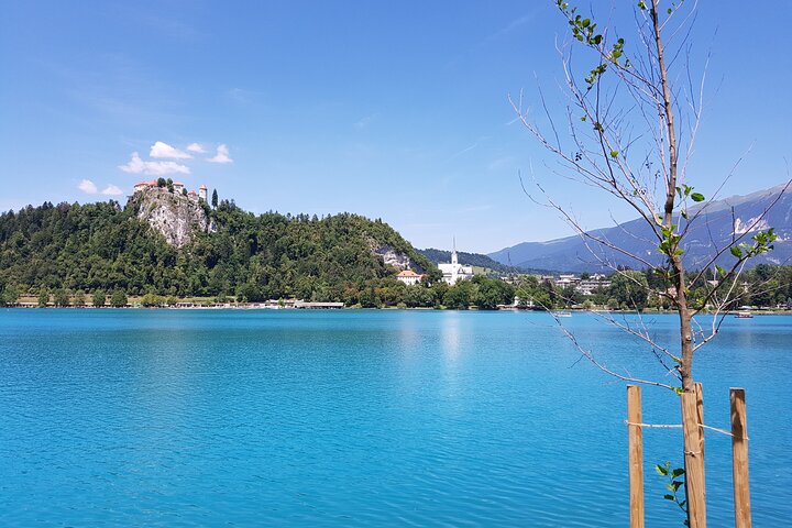Bleder See und Ljubljana Gruppe Landerlebnis ab Koper/Triest